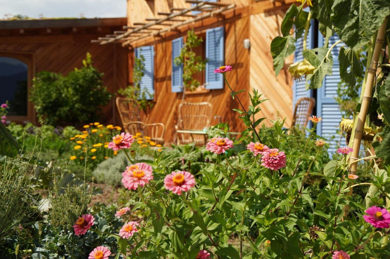 Casa Viva Bed & Breakfast Marciaga Екстериор снимка